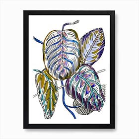 Calathea Leaves Art Print