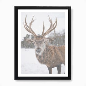 Winter Elk Art Print