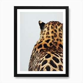 Leopard 27 Art Print