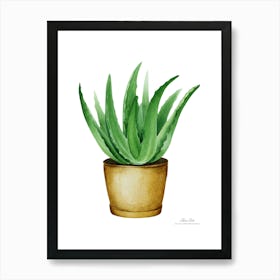 Aloe vera plant. Green plant. Beautiful plant. Thorns plant. Aloe vera flowers.21 Art Print