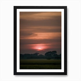 Sunset Over Rice Field Art Print