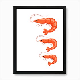 Shrimp Vector Illustration. Art Print