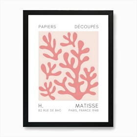 Henri Matisse 12 Poster