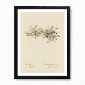 Easter Daisy Art Print