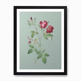 Vintage Velvet China Rose Botanical Art on Mint Green n.0223 Art Print