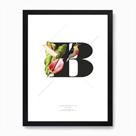 Botanical Alphabet B Art Print