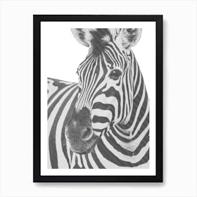 Zebra Line Art Art Print
