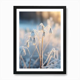 Frosty Botanical Snowdrop 3 Art Print