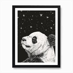 Giant Panda Looking At A Starry Sky Ink Illustration 1 Art Print