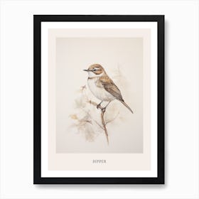 Vintage Bird Drawing Dipper 2 Poster Art Print