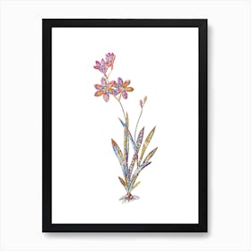 Stained Glass Ixia Grandiflora Mosaic Botanical Illustration on White n.0055 Art Print