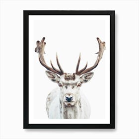 Deer Head Canvas Print Art Print