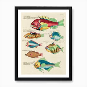 Colourful And Surreal Illustrations Of Fishes Found In Moluccas (Indonesia) And The East Indies, Louis Renard(74) Art Print