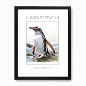 Humboldt Penguin Deception Island Watercolour Painting 4 Poster Art Print