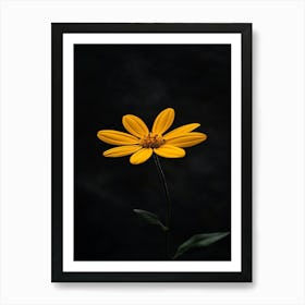 Single Yellow Flower 12 Art Print