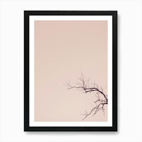 Bare Tree Against A Pink Sky Art Print