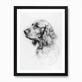 English Cocker Spaniel Dog Charcoal Line 3 Affiche