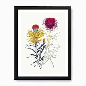 Elecampane Spices And Herbs Minimal Line Drawing 3 Art Print