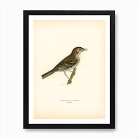 Redwing Song Thrush, The Von Wright Brothers Art Print