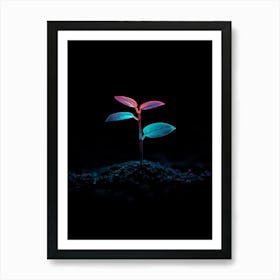 Small Plant In The Dark 3 Art Print