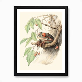 Storybook Animal Watercolour Red Eyed Tree Frog Art Print