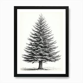Fir Tree Pencil Sketch Ultra Detailed 9 Art Print