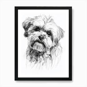 Maltese Dog Line Drawing Sketch 1 Art Print