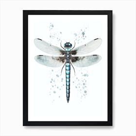 Dragonfly Darner Aeshna 2 Art Print