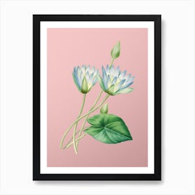 Vintage Egyptian Lotus Botanical on Soft Pink n.0153 Art Print