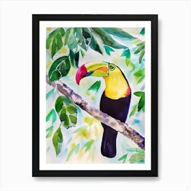 Toucan 6 Art Print