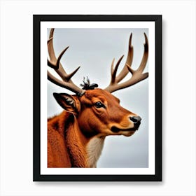 Deer Head 52 Art Print