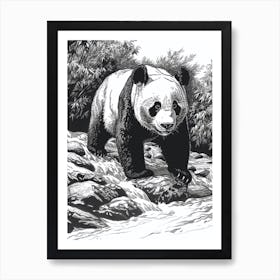 Giant Panda Standing On A Riverbank Ink Illustration 1 Art Print