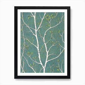 Quaking 3 Aspen Seedlings tree Vintage Botanical Art Print