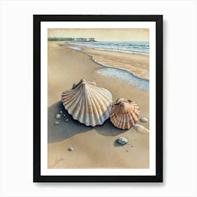 Shells On The Beach 1 Art Print