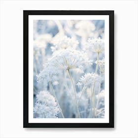 Frosty Botanical Queen Annes Lace 5 Art Print