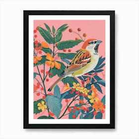 Spring Birds Sparrow 1 Art Print