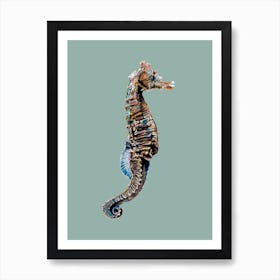 Seahorse On Aqua Art Print