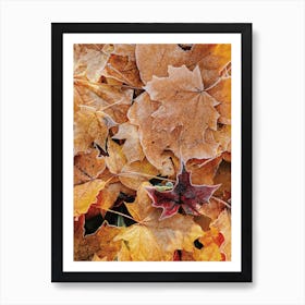 Frosty Autumn Leaf Art Print