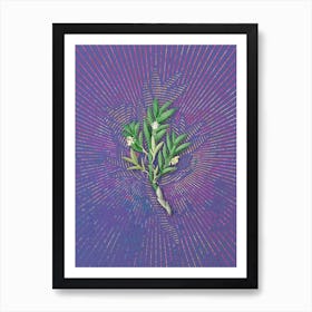 Vintage Two Edged Dendrobium Flower Botanical Illustration on Veri Peri n.0851 Art Print