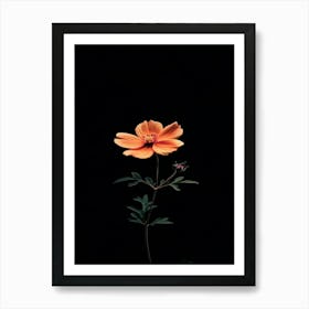 Flower On A Black Background 5 Art Print