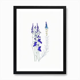 Larkspur Floral Minimal Line Drawing 5 Flower Art Print