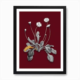 Vintage Daisy Flowers Black and White Gold Leaf Floral Art on Burgundy Red n.0167 Art Print