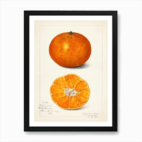 Tangerine 1 Art Print