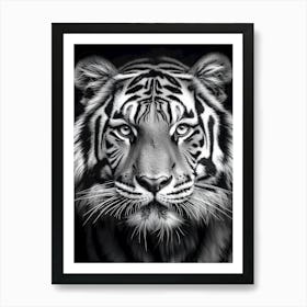 Portrait Of A Tiger Art Print