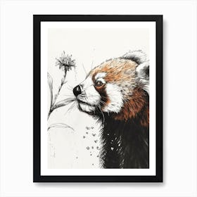 Red Panda Sniffing A Flower Ink Illustration 2 Art Print