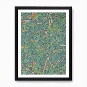 Chinkapin Oak 2 tree Vintage Botanical Art Print