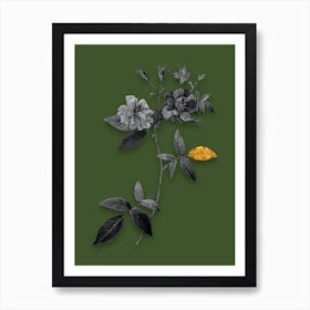 Vintage Hudson Rosehip Black and White Gold Leaf Floral Art on Olive Green Art Print