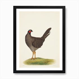 Grouse Illustration Bird Art Print