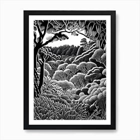 Adelaide Hills  Mount Lofty Botanic Garden, 3,  Australia Linocut Black And White Vintage Art Print