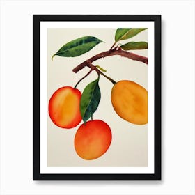 Mango Watercolour Fruit Painting Fruit Art Print